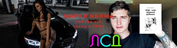 тгк Арсеньев