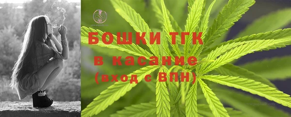 стафф Аркадак